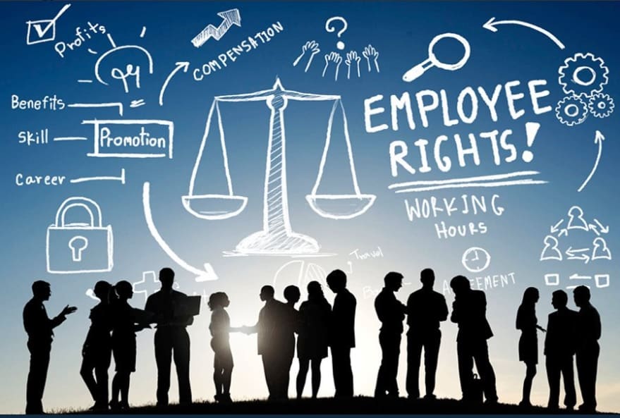 Employment Solicitors | Employee Rights
